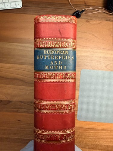 1882 kirby europäische - 1882, w.f.
