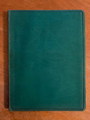 Ledereinband theodor storm - theodor,