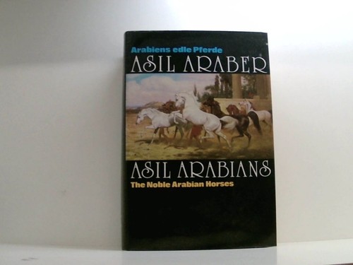 Asil araber - asil, arabians